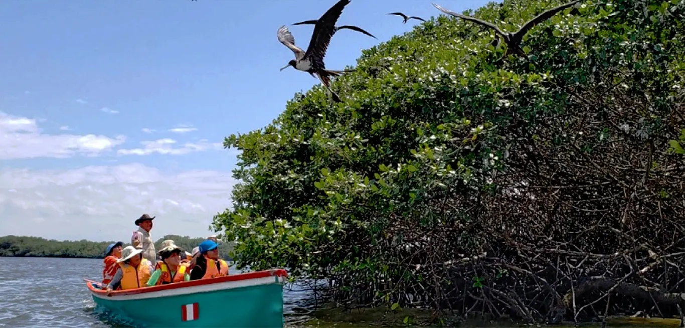 Manglares de Tumbes – Reserva Nacional Manglares de Tumbes durante el tour Tumbes - Decameron de Ensueño 4D/3N