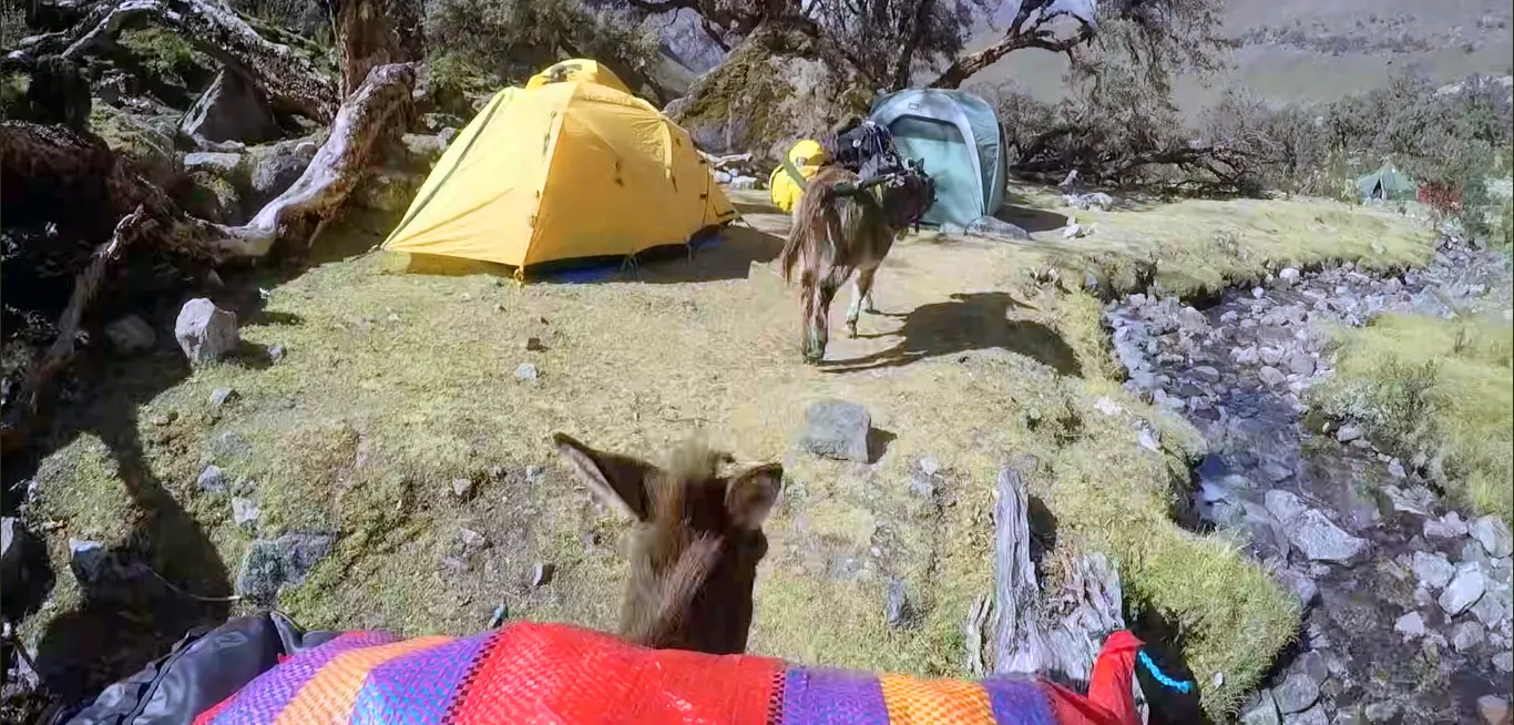 Retorno por el valle Santa Cruz Retorno por el valle Santa Cruz hacia Cashapampa después de la expedición Alpamayo