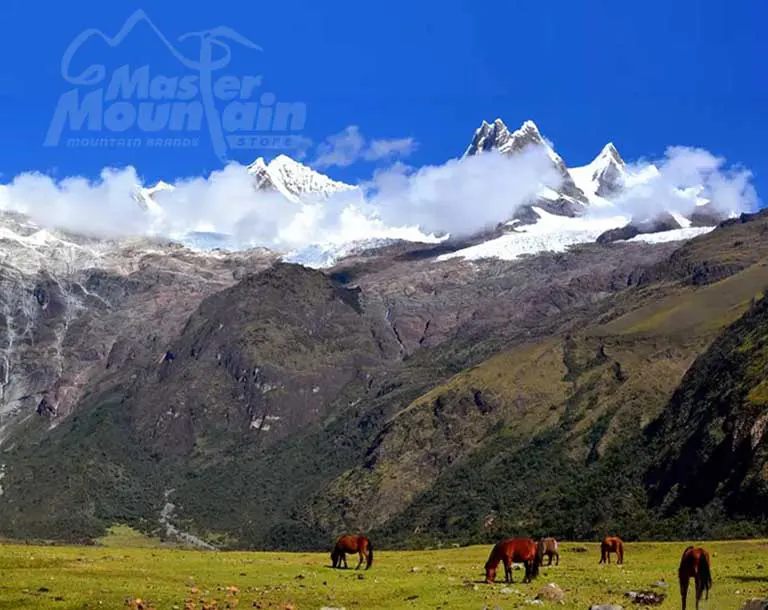 Valle de Jancapampa durante el día 4 del trek Cedros Alpamayo 10 días 9 noches, campamento bajo el nevado Pucahirca tras cruzar el paso Tupa Tupa