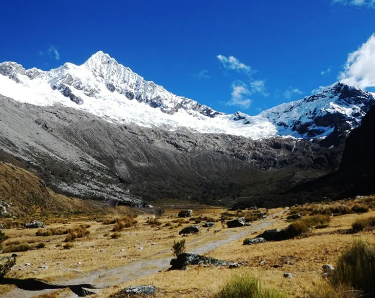 Vista del Nevado Pucahirca desde el Paso Grande Jatun durante el día 5 del trek Cedros Alpamayo 10 días 9 noches, descenso hacia Huilca