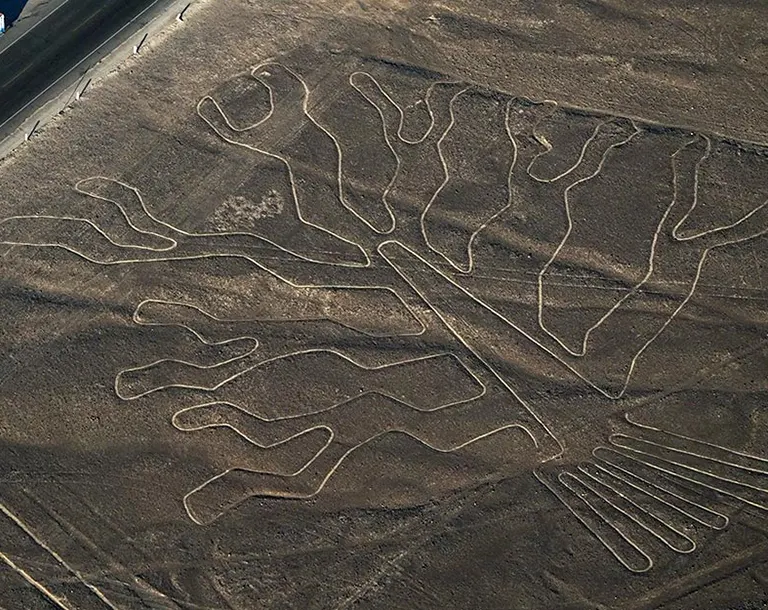 Geoglifo El Árbol en las Líneas de Nazca durante el día 5 del tour Ica Paracas Nazca 5 días 4 noches