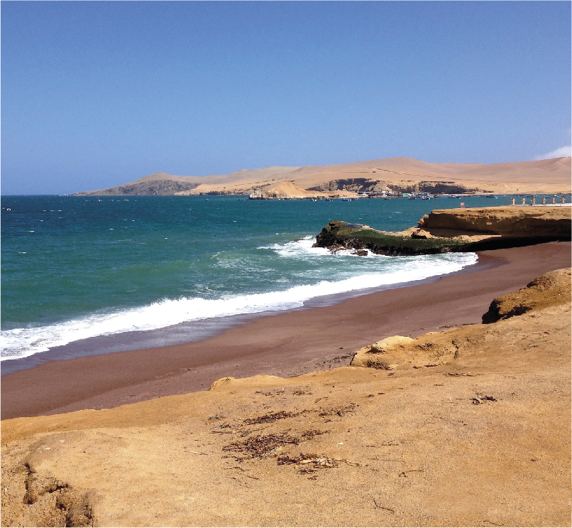 Reserva Nacional de Paracas | Ica - Paracas - Nazca 5D/4N - Master Mountain