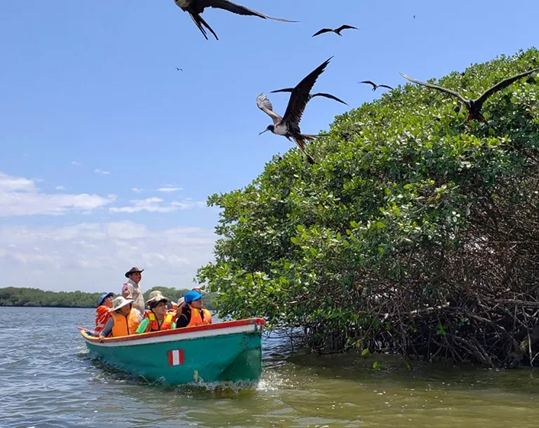 Santuario Nacional Los Manglares de Tumbes con canales de marea y vegetación costera en el norte del Perú