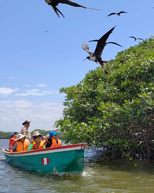 Santuario Nacional Los Manglares de Tumbes con canales de marea y vegetación costera en el norte del Perú