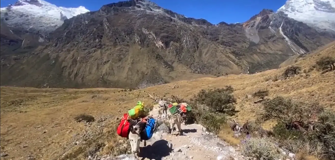 Aproximación al Campo Base del Nevado Pisco desde Cebollapampa, Cordillera Blanca, Áncash